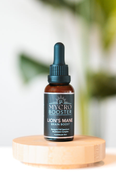 Lion´s Mane